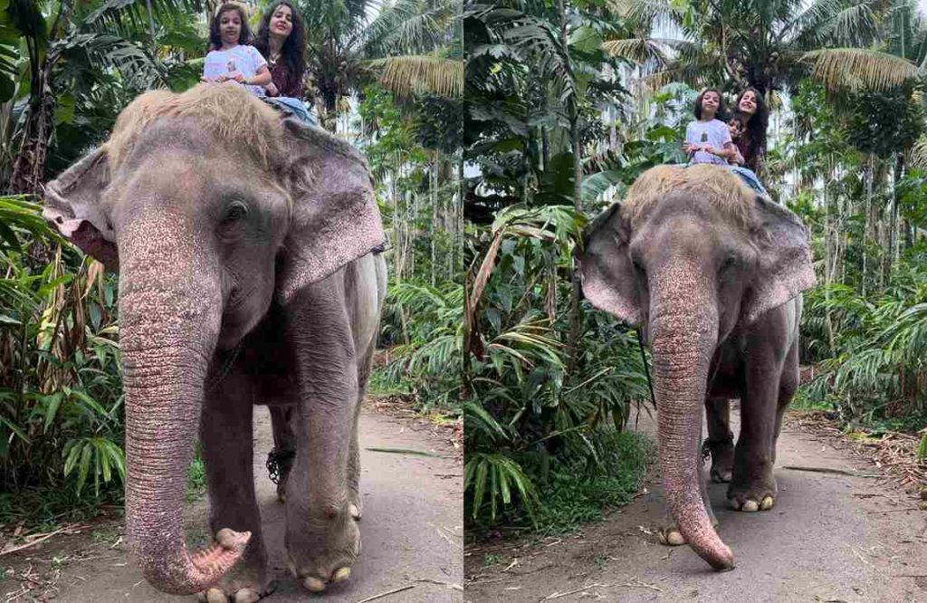 Actress Bhama Elephant Ride With Her Daughter 