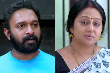 സാന്ത്വനം വീട്ടിൽ സന്തോഷത്തിന്റെ പൂമൊട്ട് വിരിയുന്നു!! ആദ്യ പടിയായി സഹോദരന്മാർ ഒരേ ലക്ഷ്യത്തിന് തുനിഞ്ഞിറങ്ങി