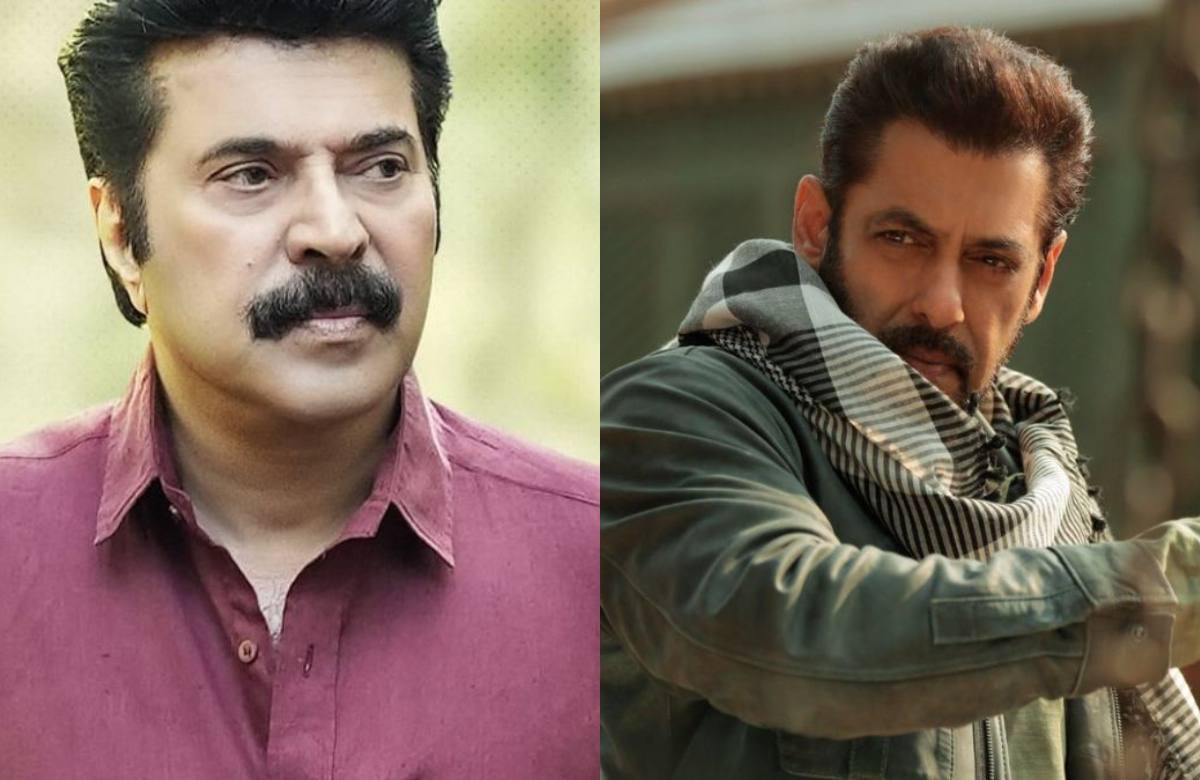 മമ്മൂട്ടിയുടെ കാതൽ ബോക്സ് ഓഫീസിൽ കുതിക്കുമ്പോൾ, സൽമാൻ ഖാൻറെ ടൈഗ