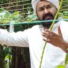 Best Tips for Growing Valli Payar in Kerala