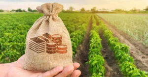 Kerala Land Tax Online Payment Method