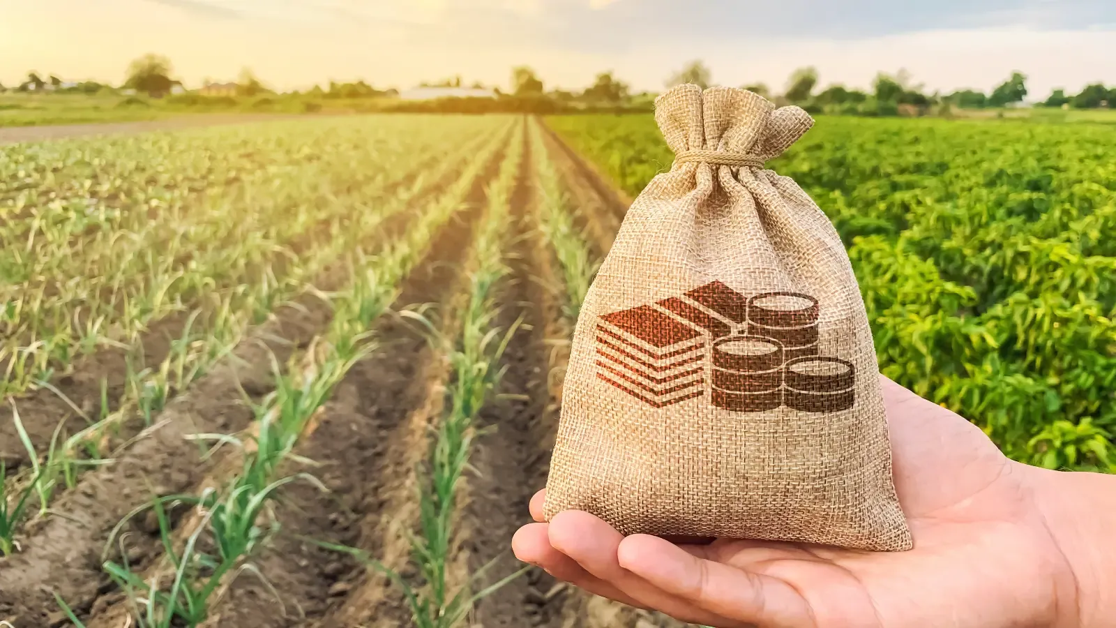 Pradhan Mantri Kisan Samman Nidhi